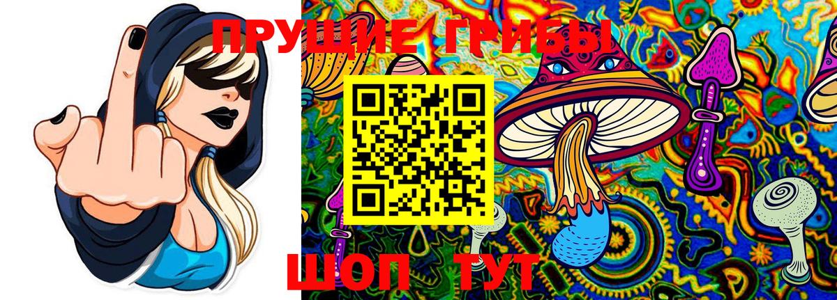 Галлюциногенные грибы MAGIC MUSHROOMS Котлас